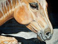 palomino relaxing 9x12